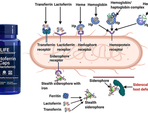 Unlocking the Health Benefits of Lactoferrin: A Scientific Perspective